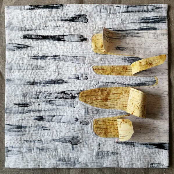 Birch Tree Bark