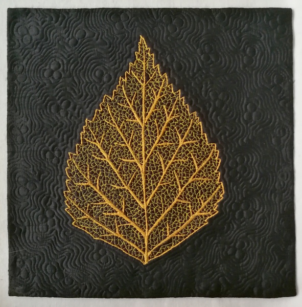 White Birch  leaf skeleton