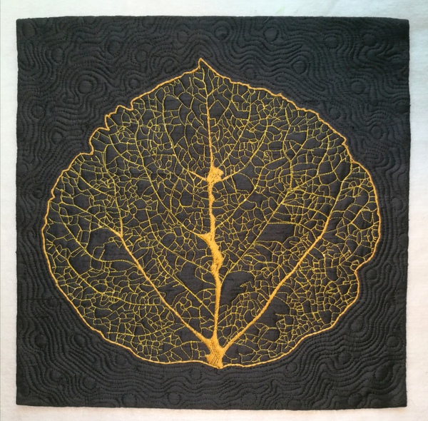 Aspen Leaf Skeleton