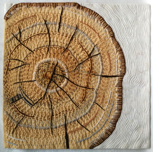 White Birch wood grain