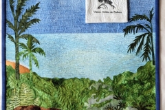 Discovery of the Mar del Sur