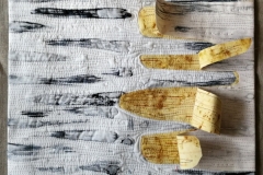 Birch Tree Bark