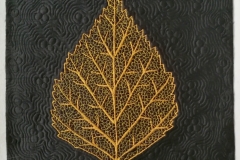 White Birch  leaf skeleton