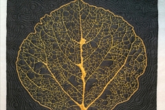 Aspen Leaf Skeleton