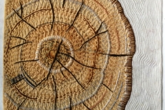 White Birch wood grain
